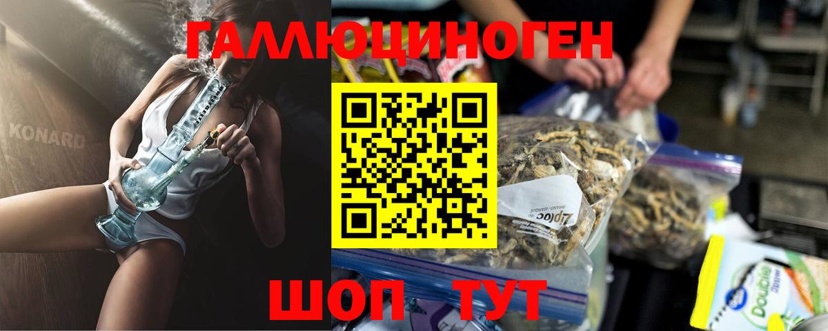 Галлюциногенные грибы Cubensis  Вход с VPN  Губаха 